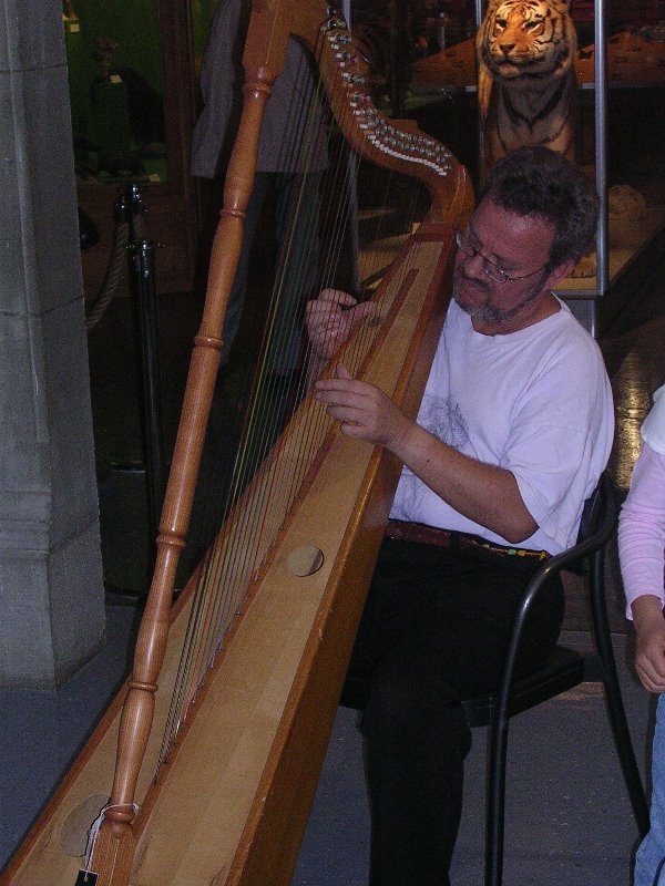 Harfe Fribourg3.jpg