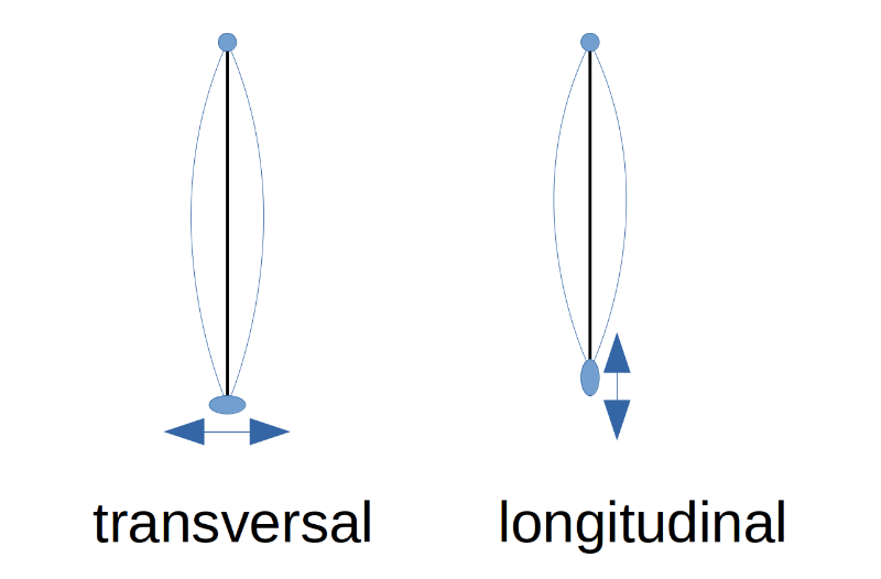 transversal longitudinal.png