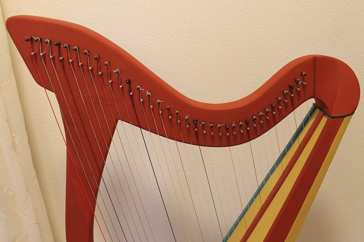Marcel Sommer harp picture 04.jpg