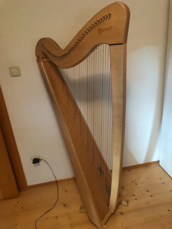image1.jpeg