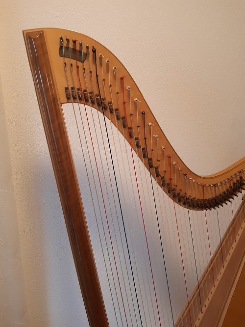 Keith Theobald harp 241 picture 02.jpg